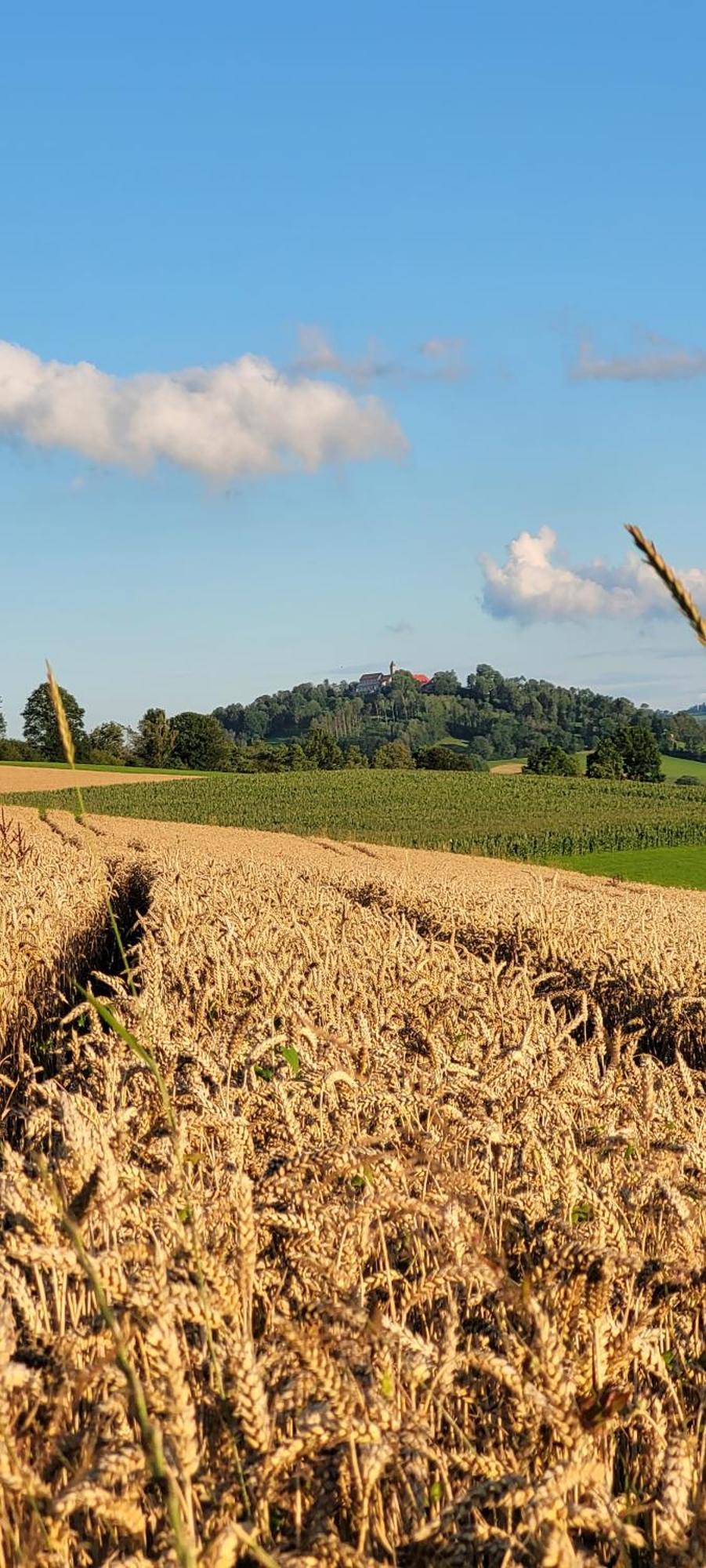 Ferienwohnung Bayerwaldblick Jandelsbrunn 외부 사진