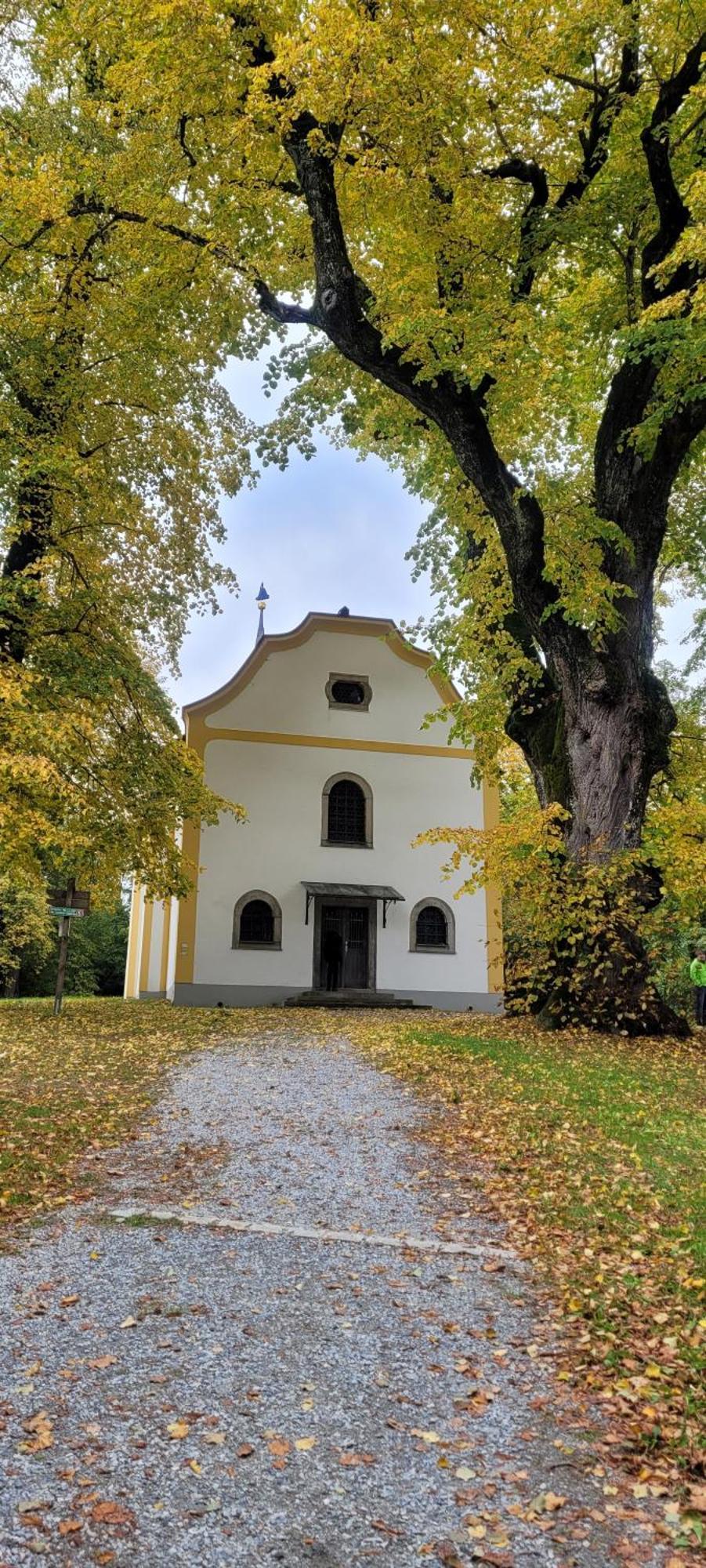 Ferienwohnung Bayerwaldblick Jandelsbrunn 외부 사진