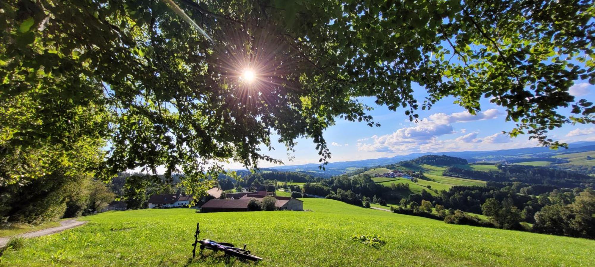 Ferienwohnung Bayerwaldblick Jandelsbrunn 외부 사진