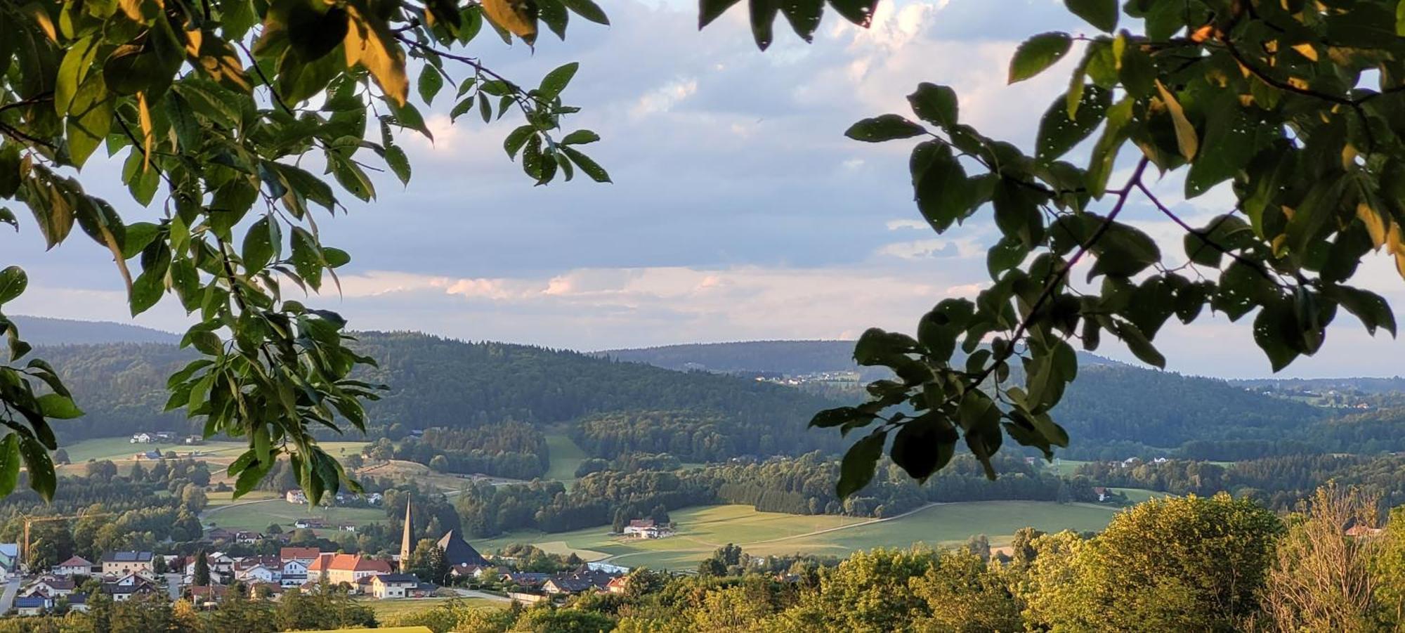 Ferienwohnung Bayerwaldblick Jandelsbrunn 외부 사진