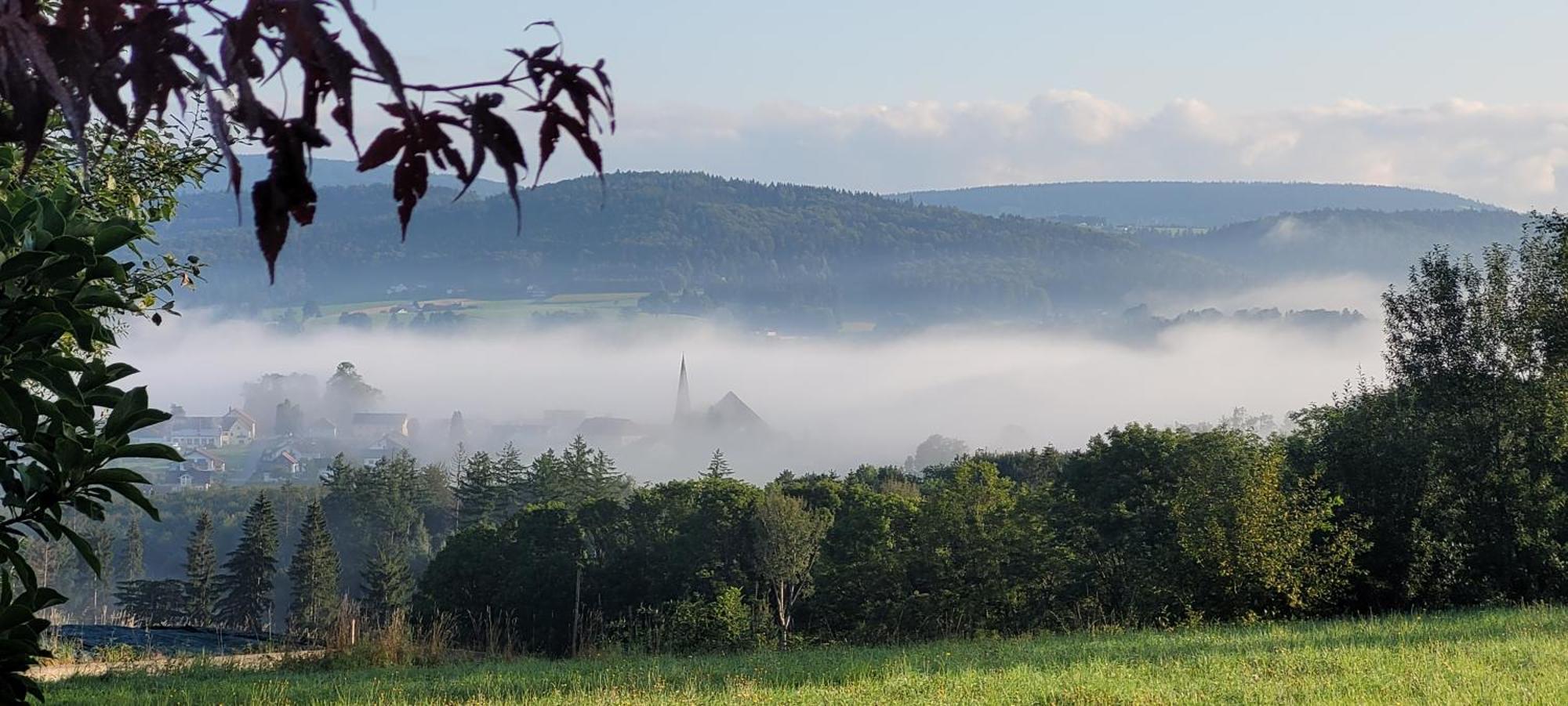 Ferienwohnung Bayerwaldblick Jandelsbrunn 외부 사진